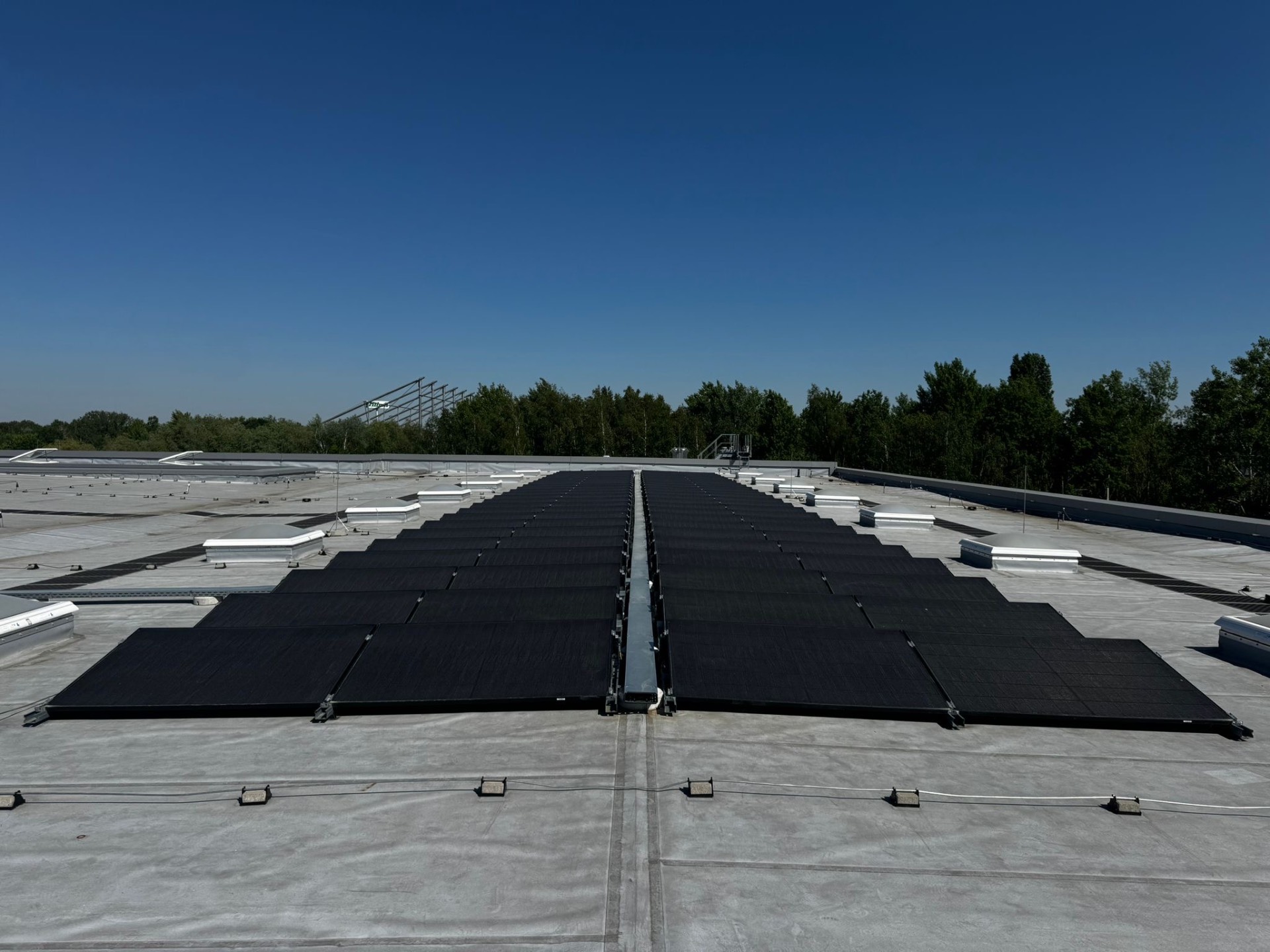 Flachdach des Scale-Gebäudes in Garbsen mit installierter Full-Black-Photovoltaikanlage von SmartVision
